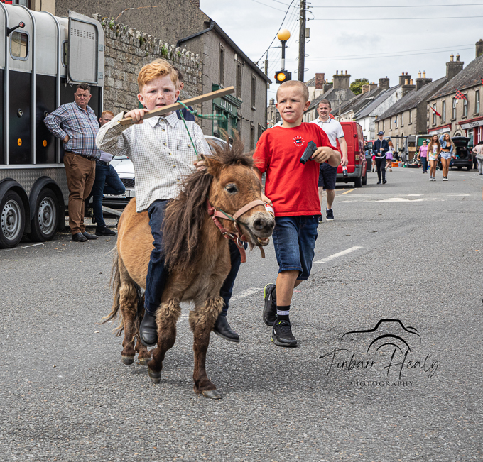 Borris Horse Fair 2023 (by Finbarr)
